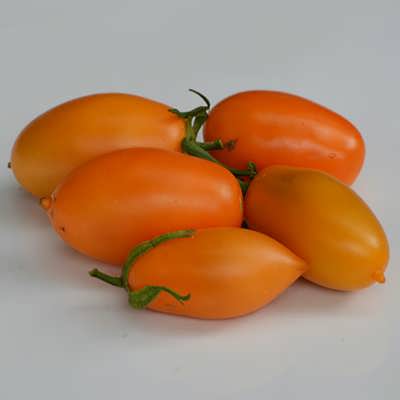 گوجه فرنگی قندیل یخی نارنجی گوجه فرنگی قندیل یخی نارنجی
