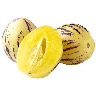 پپینو ملون پپینو ملون