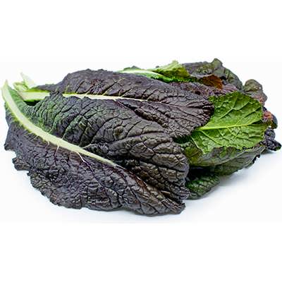 خردل قرمز خردل قرمز