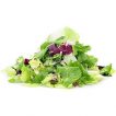 سبزی سالادی میکس تازه