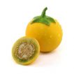 بادمجان زینتی برش خورده