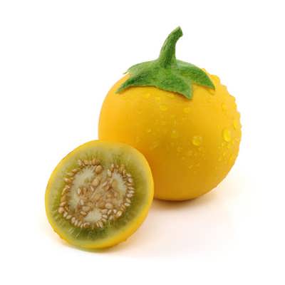 بادمجان زینتی برش خورده بادمجان زینتی برش خورده
