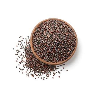 خردل سیاه در کاسه