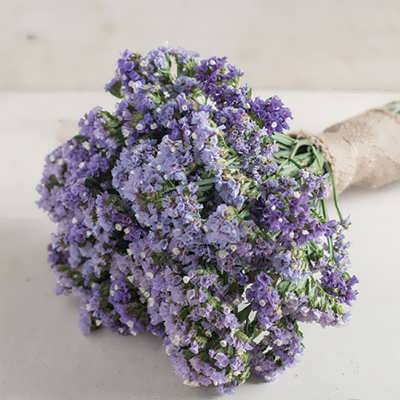 گل لیمونیوم آبی دسته گل گل لیمونیوم آبی دسته گل