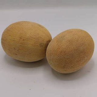 طالبی دست انبو دو تایی