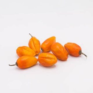 بادمجان فرانسوی