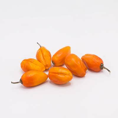 بادمجان فرانسوی بادمجان فرانسوی