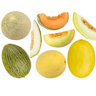 بذر طالبی میکس