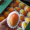 بیبی انبه از بالا
