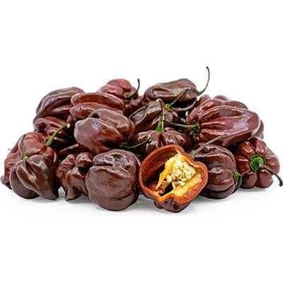 فلفل هابانرو مشکی فلفل هابانرو مشکی