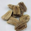 کدو تنبل چارلیستون ببری میوه