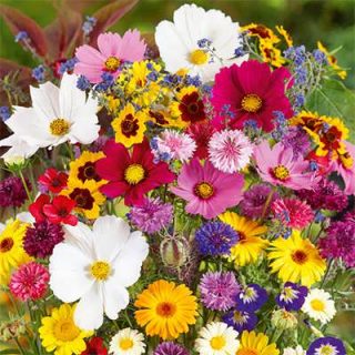 میکس گل های وحشی