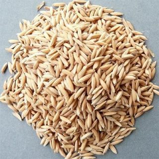 برنج هاشمی از بالا