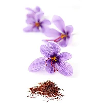 گل زعفران از نزدیک گل زعفران از نزدیک