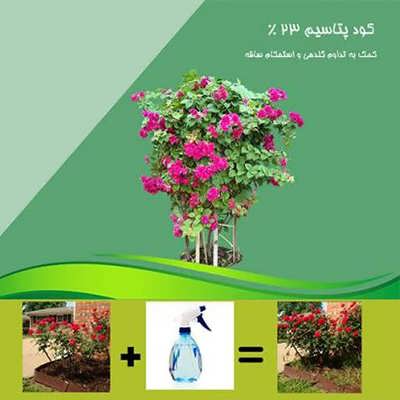 کود پتاسیم 23 % کود پتاسیم 23 %