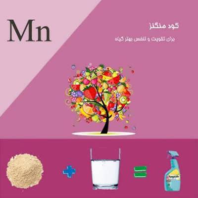 کود منگنز کود منگنز