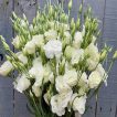یک دسته گل لیسیانتوس سفید