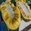 میوه جک فروت نصف شده
