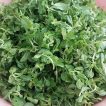 سبزی چلچلی