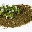 مرزه کوهی خشک شده