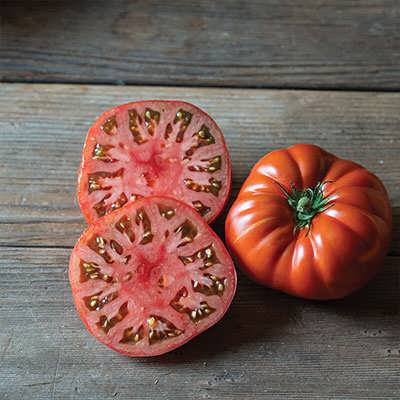 گوجه فرنگی شرابی بوته ای برش خورده گوجه فرنگی شرابی بوته ای برش خورده