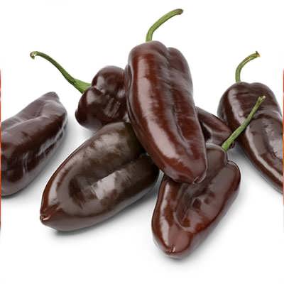 فلفل پاپریکا شکلاتی از روبرو فلفل پاپریکا شکلاتی از روبرو