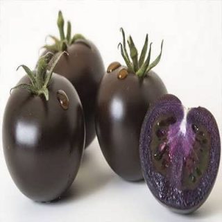 گوجه فرنگی غول پیکر بنفش درختی از روبرو