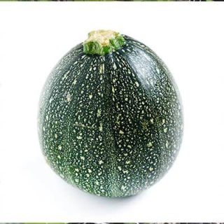 بذر کدو خورشتی گرد سبز از بالا