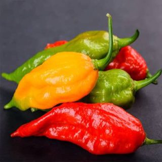 فلفل چروک میکس از روبرو