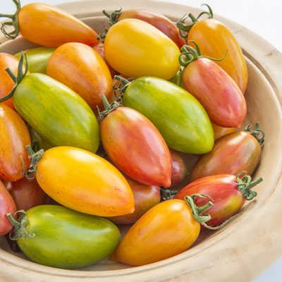 بذر گوجه زیتونی ببری میکس در بشقاب بذر گوجه زیتونی ببری میکس در بشقاب