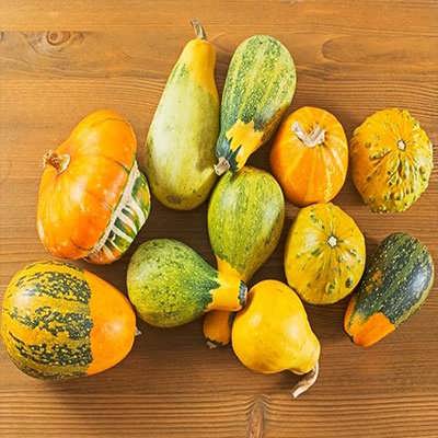 کدو حلوایی زینتی از بالا کدو حلوایی زینتی از بالا