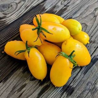 گوجه زیتونی زرد درختی روی میز