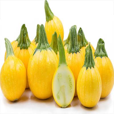 بذر کدو خورشتی گرد زرد اصلی بذر کدو خورشتی گرد زرد اصلی